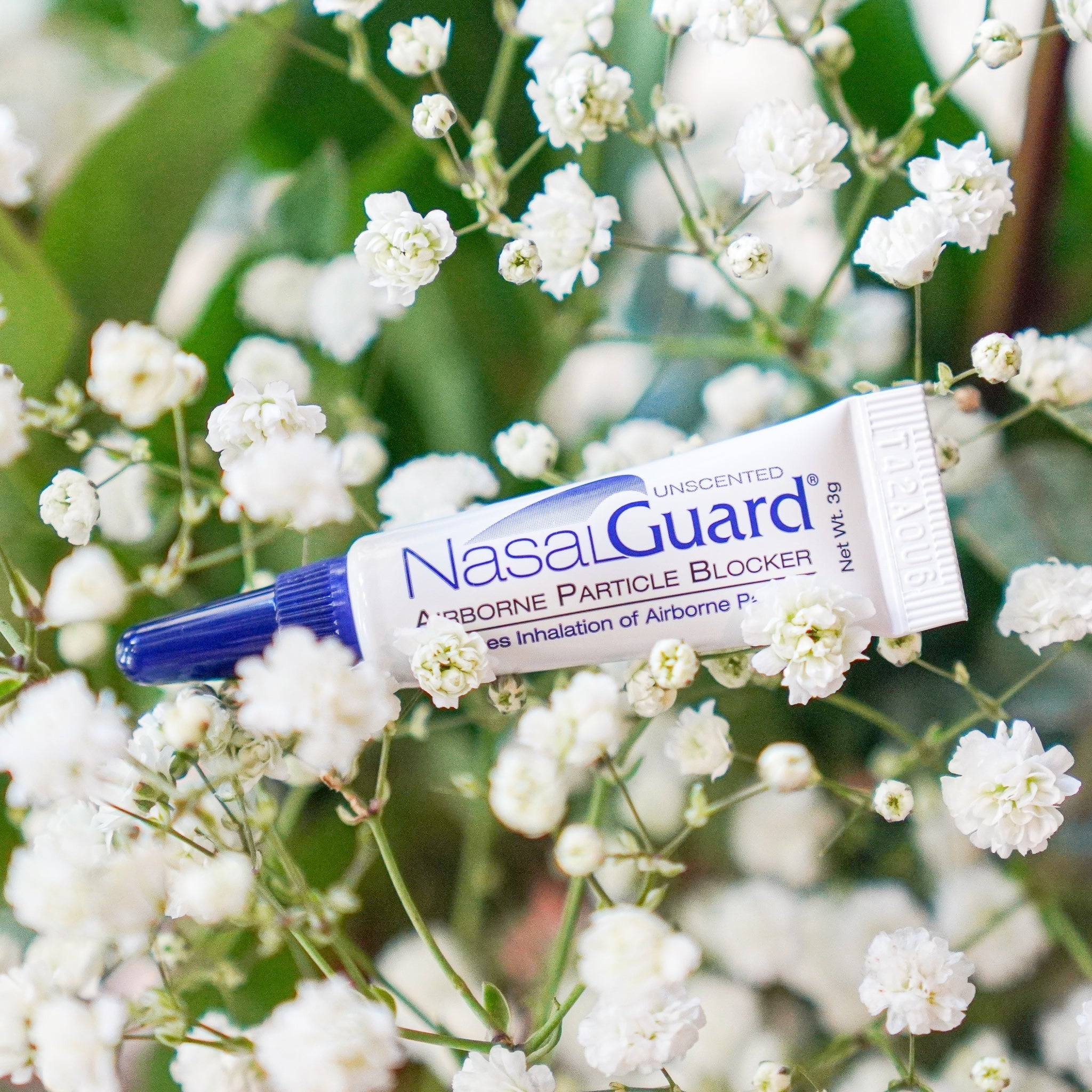 Seasonal Allergies 101: Drug-Free Ways to Beat Pollen Season